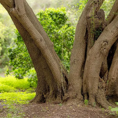 アパート Eva Garcia Naranjo *